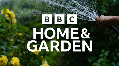 b bbc|BBC Home .